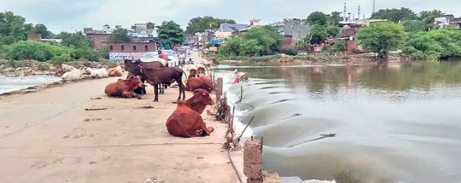 अकतासा नदी पर तेज बहाव, सुरक्षा व्यवस्था नदारद – हर पल हादसे का खतरा