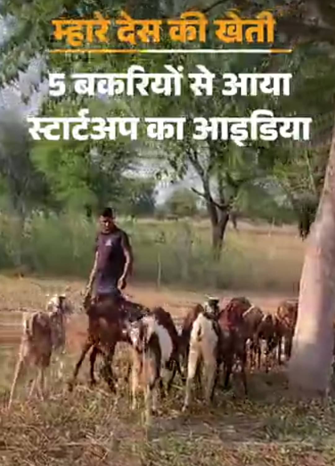 जयपुर-किसान ने बकरी के दूध से घी और साबुन बनाया:ऑनलाइन मार्केट से ग्राहकों तक पहुंचे, टर्नओवर 18 लाख से ज्यादा