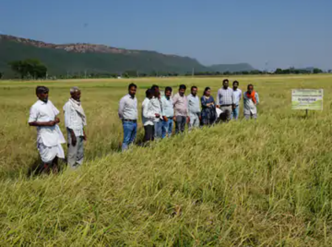 खटियाड़ी गांव में बायो-इनाकुलम का प्रदर्शन:किसानों को टिकाऊ खेती की जानकारी मिली