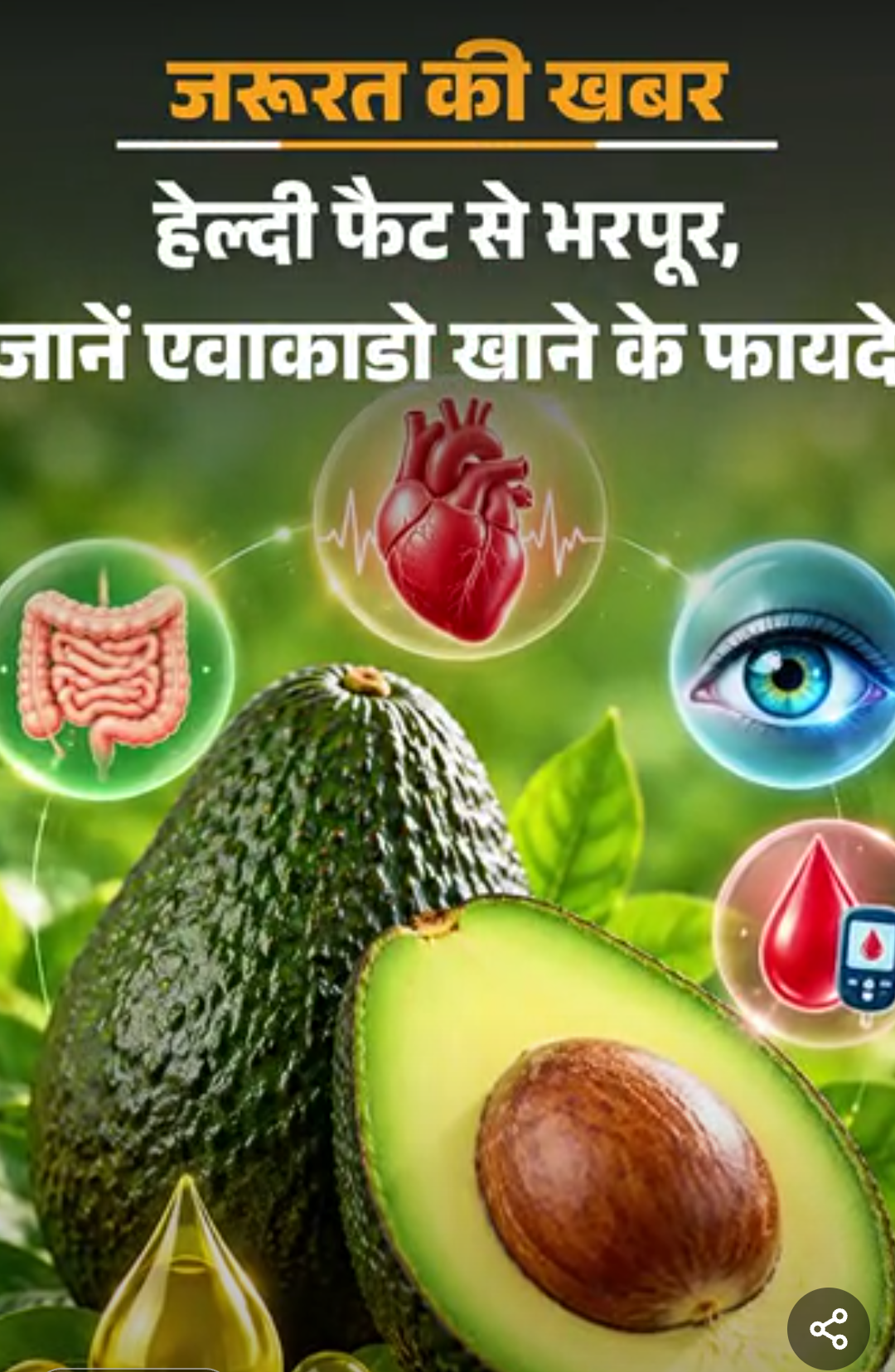 जरूरत की खबर- एवाकाडो के 12 हेल्थ बेनिफिट्स:हेल्दी फैट–फाइबर से भरपूर, जानें खाने का सही तरीका, खरीदते समय ध्यान रखें 6 बातें